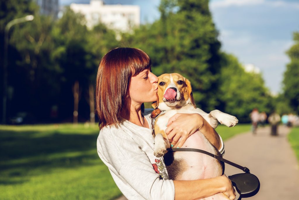 moving with pets